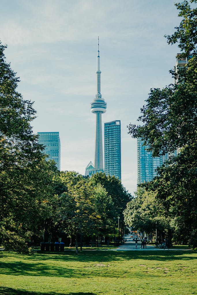 Green Park in Modern City with Skyscrapers