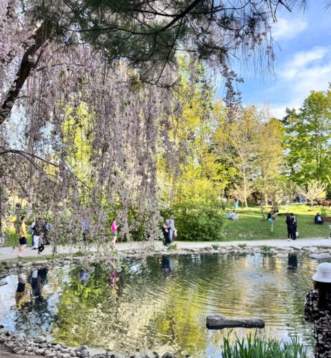 Things to Do in Mississauga: A Local’s Complete Guide