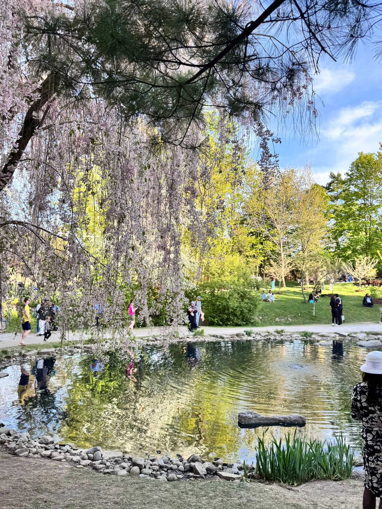 Kariya Park: Mississauga’s Hidden Japanese Garden