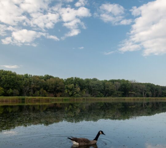Heart Lake Conservation Park