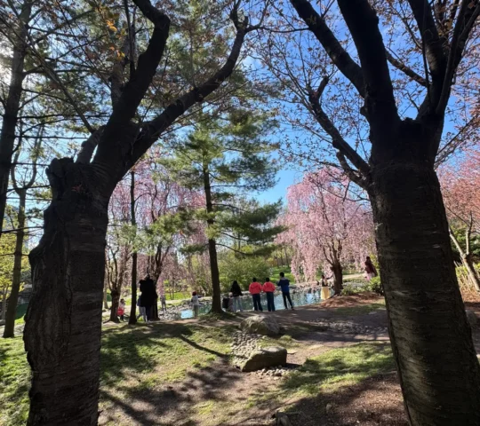 Kariya Park, Mississauga