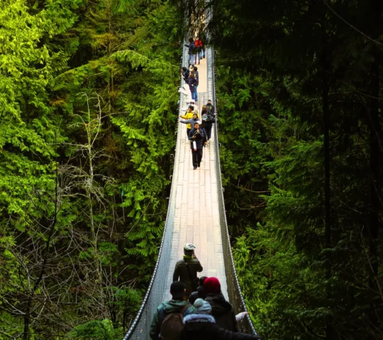 Lynn Canyon Park, Vancouver (Free Alternative to Capilano)