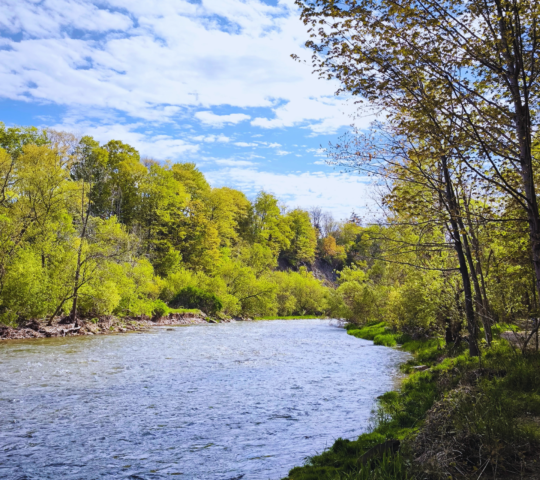 Riverwood Conservancy Riverwood Conservancy
