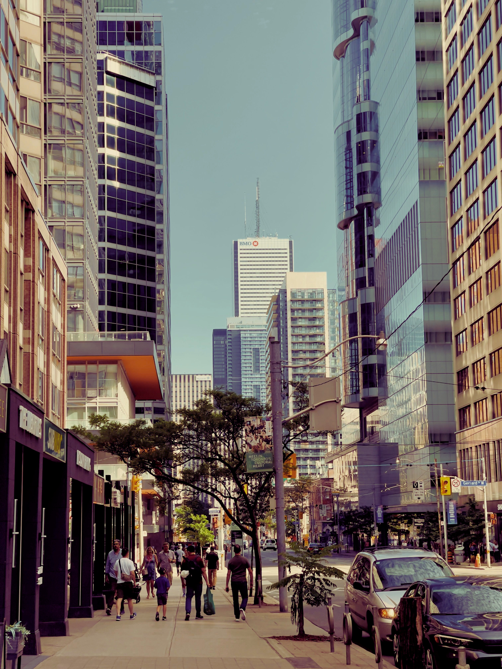Best Hotels in Toronto 2026: A Complete Neighbourhood Guide