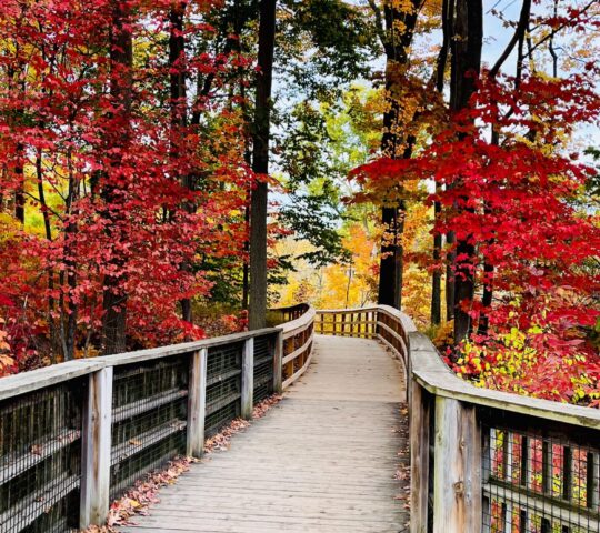 Erindale Park