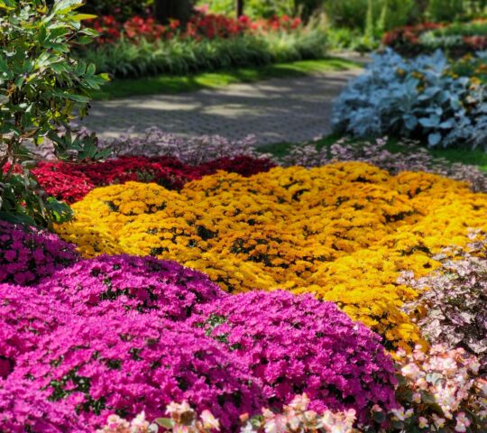 Gairloch Gardens