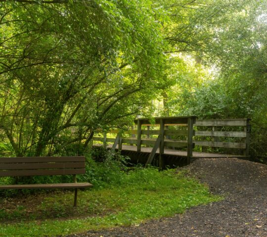 Meadowvale Conservation Area