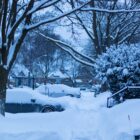 Things to Do in Burlington, Ontario: A Complete City Guide