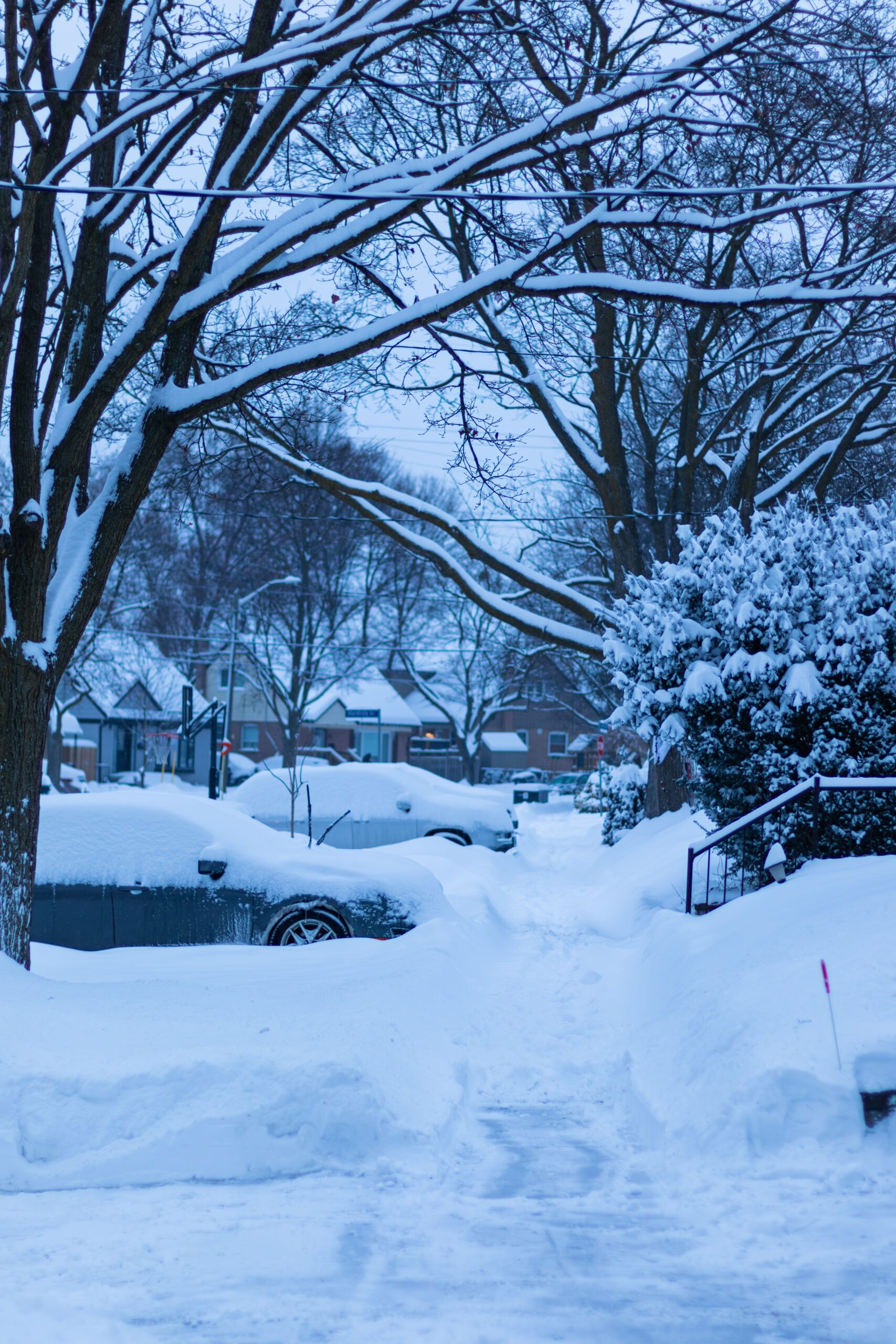 Things to Do in Mississauga in Winter: A Cold Weather Guide