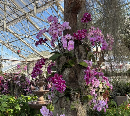 Royal Botanical Gardens