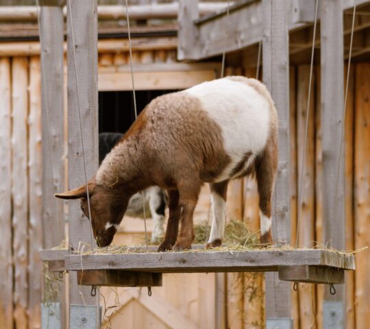 Riverdale Farm