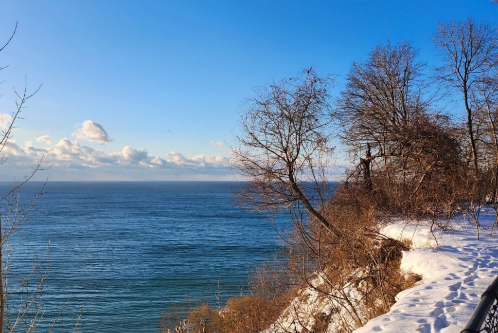 Summer in Toronto: The Ultimate Guide to the Best Things to Do, Weather, Festivals & Travel Tips