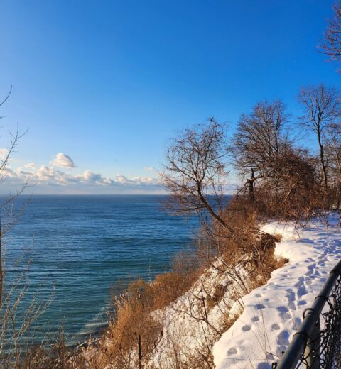 Best Hotels Near Pearson Airport 2026: Complete Mississauga Airport Guide