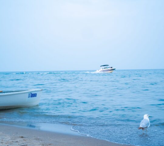 The Beaches Toronto