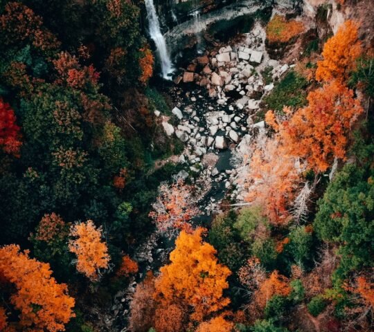 Webster’s Falls & Spencer Gorge