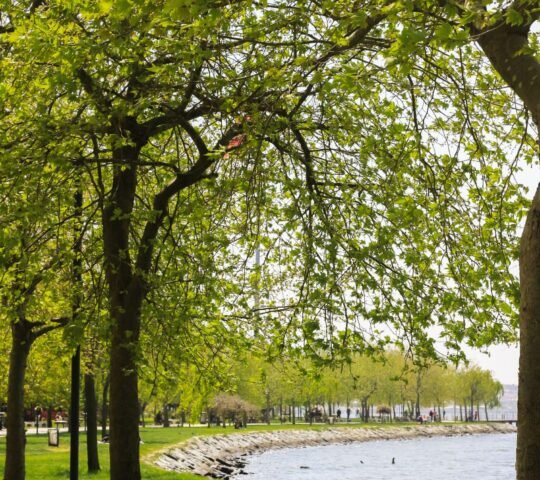 Bayfront Park